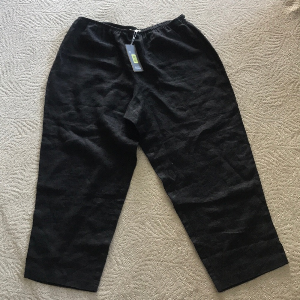 Eileen Fisher Plus size pants